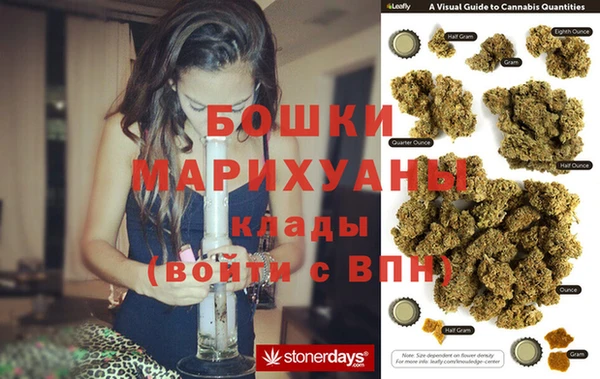стафф Арсеньев