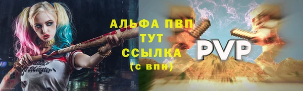 стафф Арсеньев