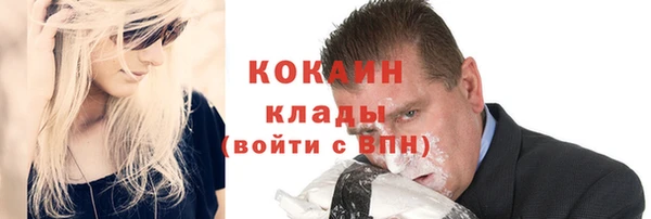 стафф Арсеньев