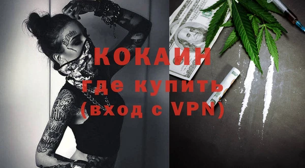 стафф Арсеньев