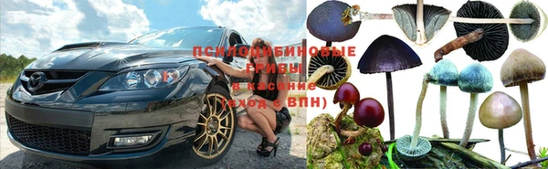 каннабис Аркадак