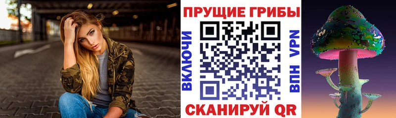 Псилоцибиновые грибы GOLDEN TEACHER  где продают наркотики  Порхов 
